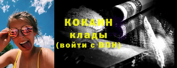 стаф Алексин
