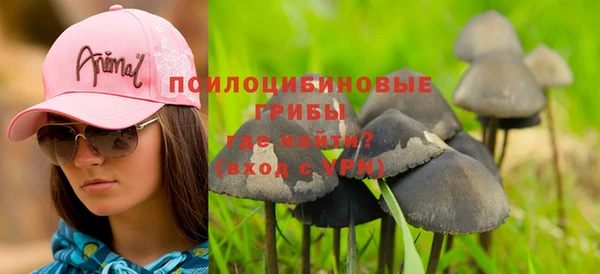 синтетический гашиш Алексеевка