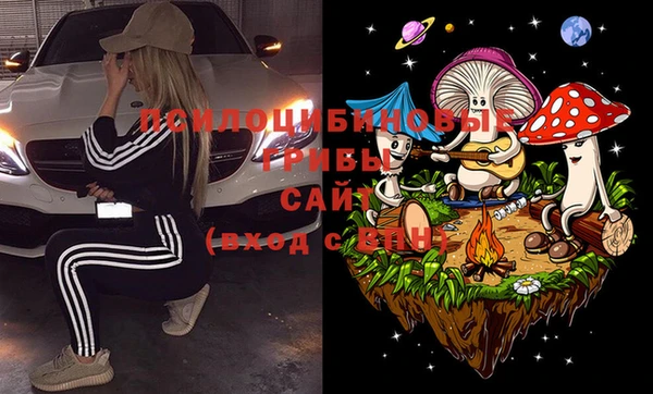синтетический гашиш Алексеевка
