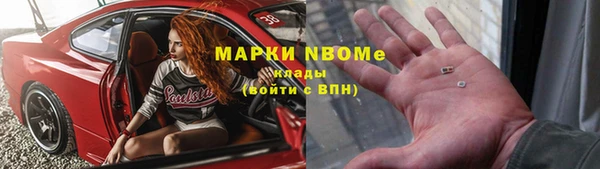 стаф Алексин