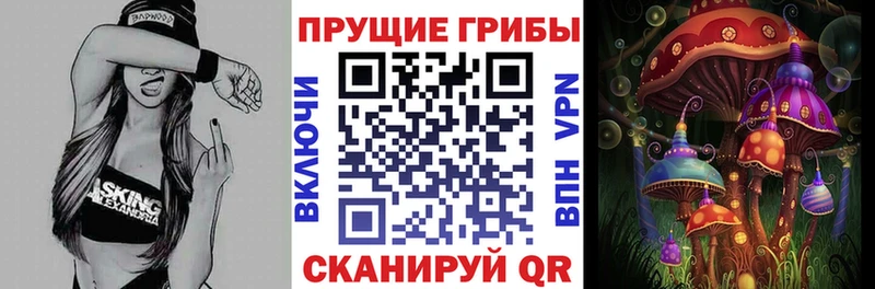 omg tor  Фролово  Галлюциногенные грибы Psilocybe 